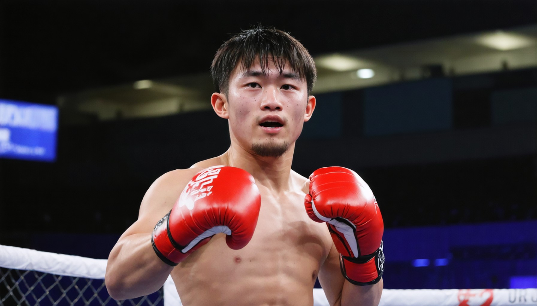 The Rising Sun’s Glory: Japan’s Triple World Flyweight Title Fights Promise Epic Showdowns